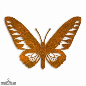 Zawieszalnia – 3D Wanddekoration Paradiesfalter L 44×30 cm Corten-Stahl