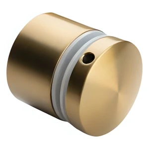 Punkthalter für Glas 8-21,52 mm fi 50/30/M10x40 AISI 304 Flachsystem gold
